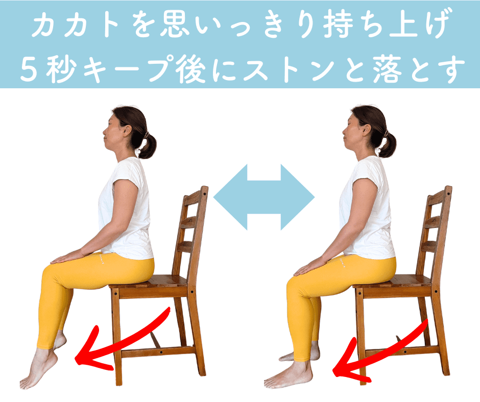 カカトすとんエクササイズ