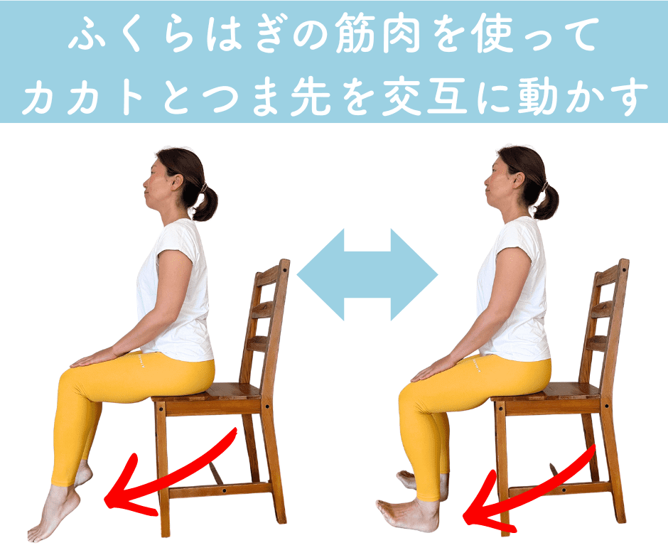 かかとつま先ふねこぎエクササイズ