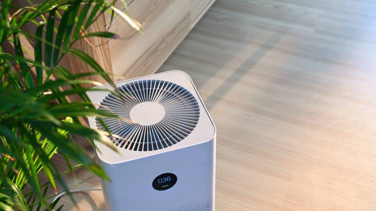 「空気清浄機」が40歳以上の認知機能を向上させる可能性|研究結果が示唆