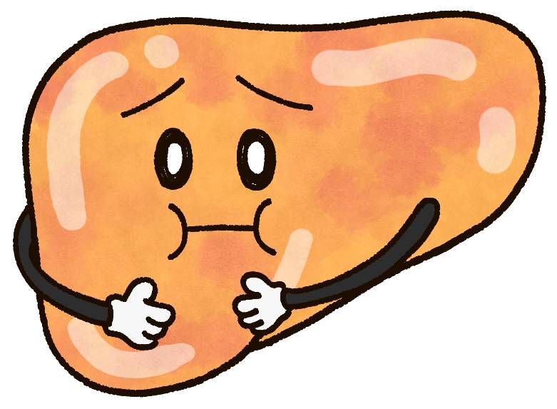 脂肪肝