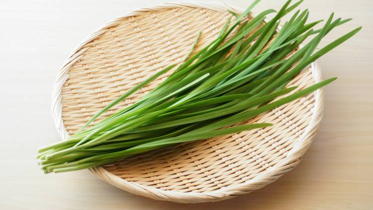 地味だけど実はすごい。ニラで体が変わる食べ方|管理栄養士が解説