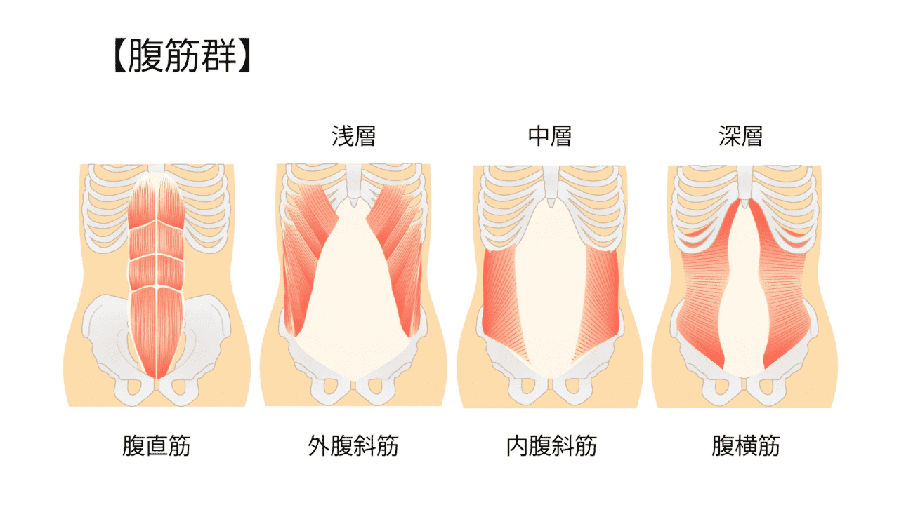 腹筋