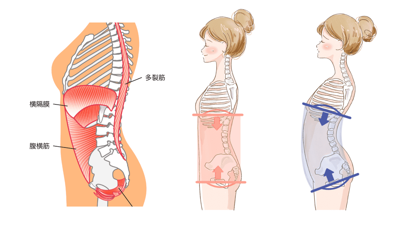 肋骨の開き