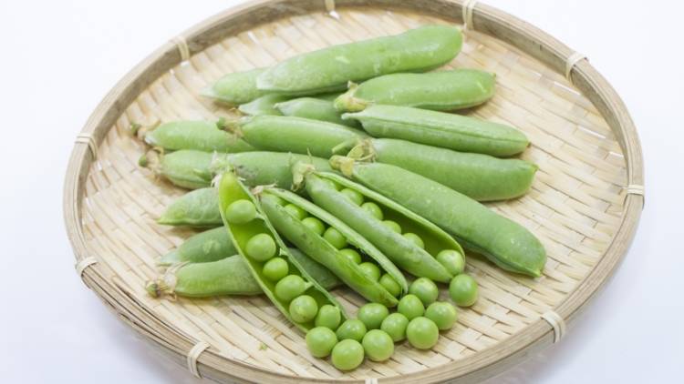 いつもよけてない?実はすごい「グリーンピース」の栄養|管理栄養士が解説