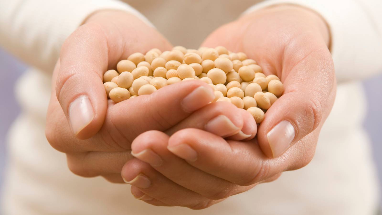 最新研究『豆を食べる人ほど高血圧になりにくい』｜大豆やレンズ豆が“血管を守る”理由とは？