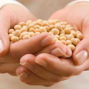 最新研究『豆を食べる人ほど高血圧になりにくい』|大豆やレンズ豆が“血管を守る”理由とは?