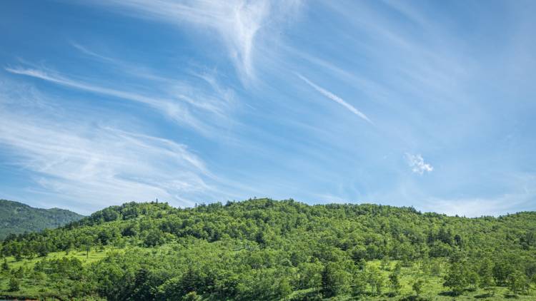 立夏=夏の始まり。肌寒くてもすでに夏は始まっている。冷え、むくみ、肌荒れ予防に、立夏からできるセルフケア