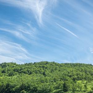 立夏=夏の始まり。肌寒くてもすでに夏は始まっている。冷え、むくみ、肌荒れ予防に、立夏からできるセルフケア