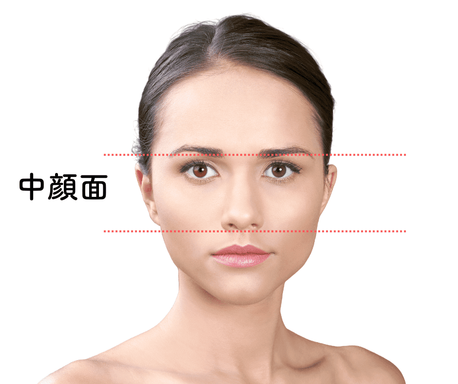 中顔面