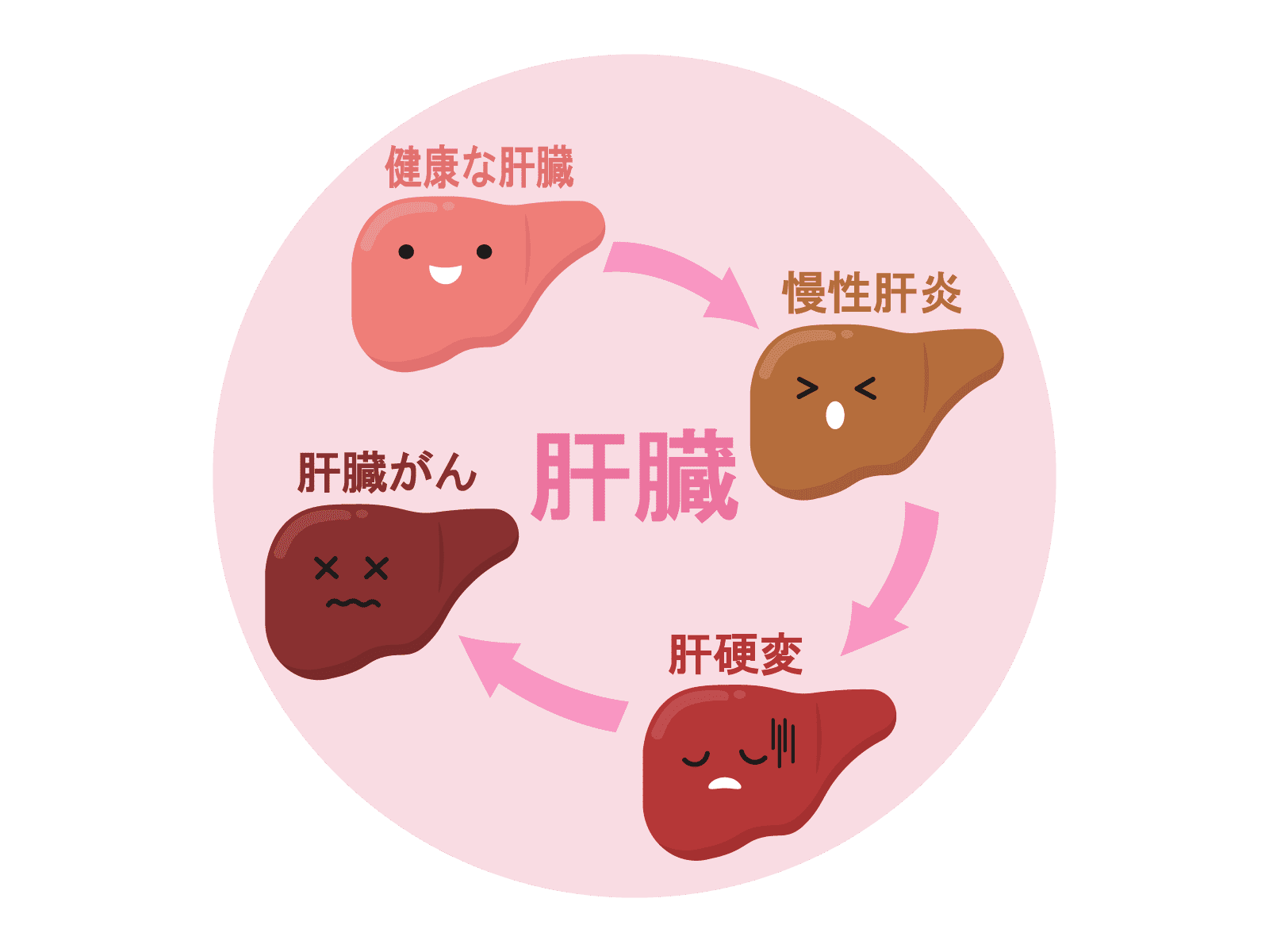 肝機能