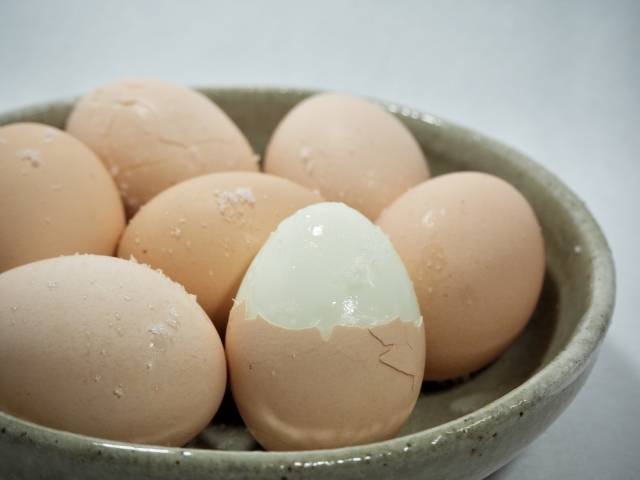 茹で卵