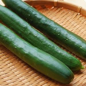 きゅうりは栄養がないって本当？管理栄養士が教える水分補給と代謝をサポートする食べ方3選
