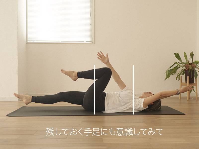 デッドバグポイント