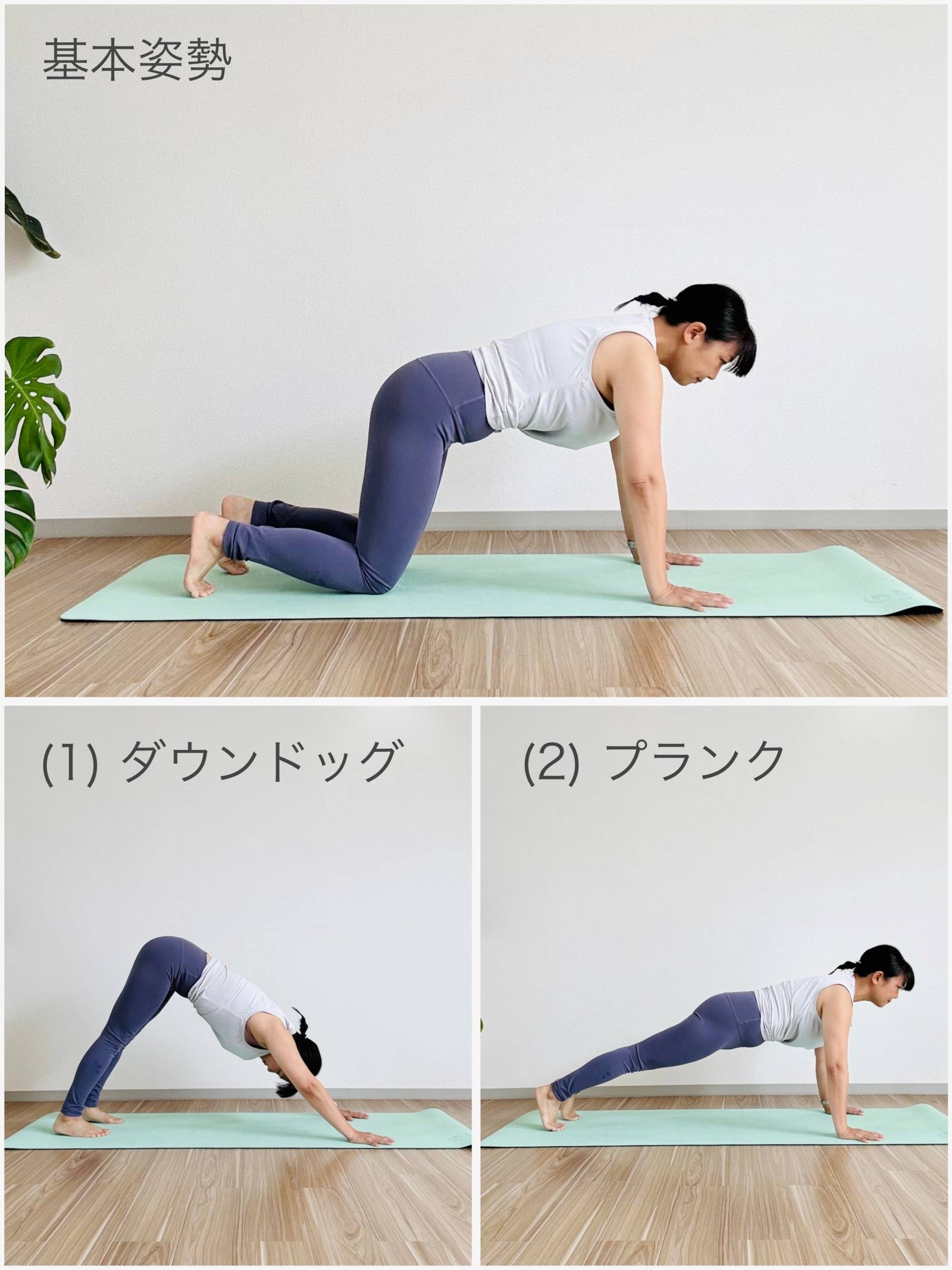 全身運動