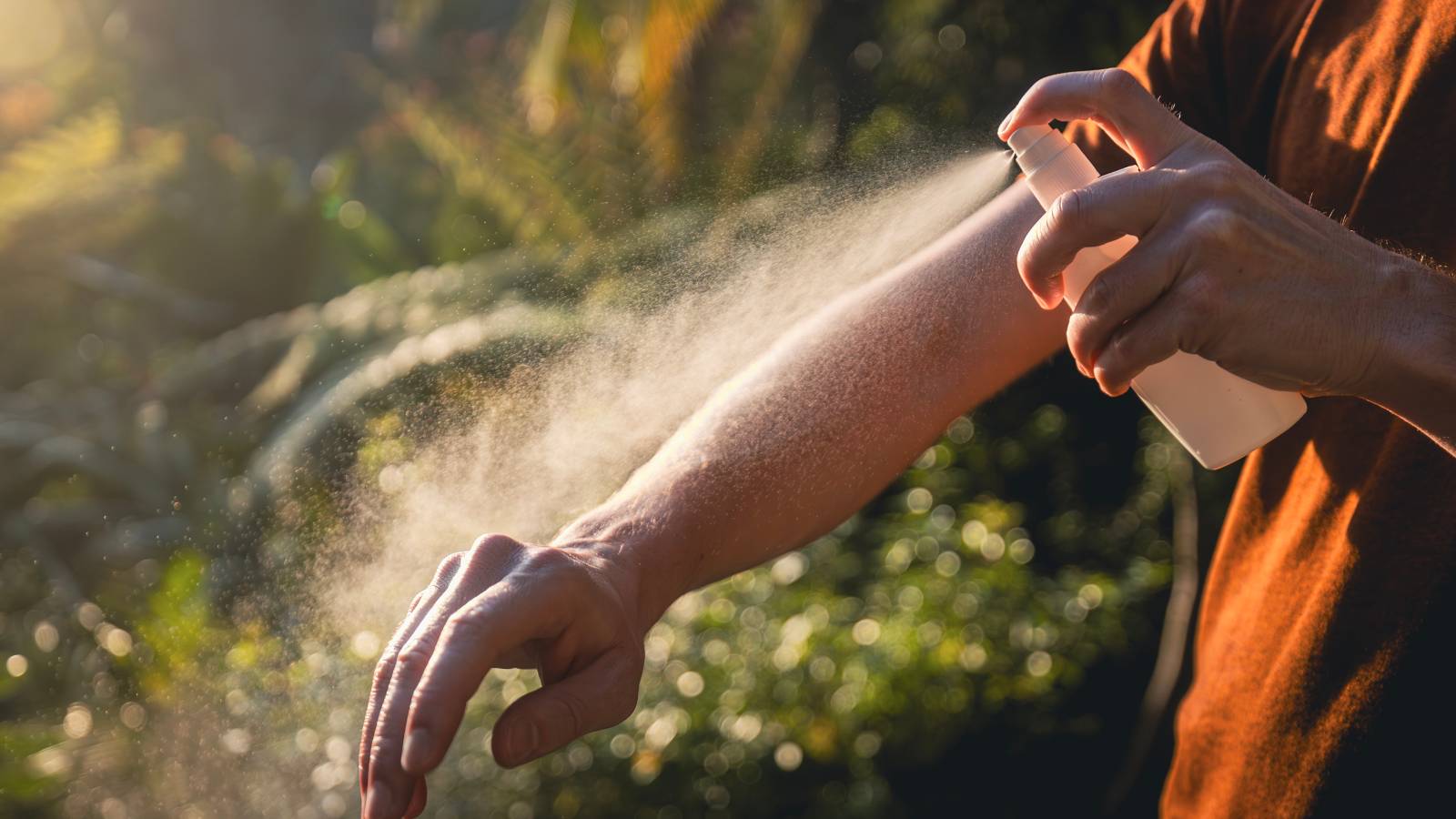 【蚊よけが蚊を引き寄せる可能性！？】最新研究で明らかになった蚊の学習能力とは？