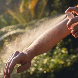 【蚊よけが蚊を引き寄せる可能性!?】最新研究で明らかになった蚊の学習能力とは?