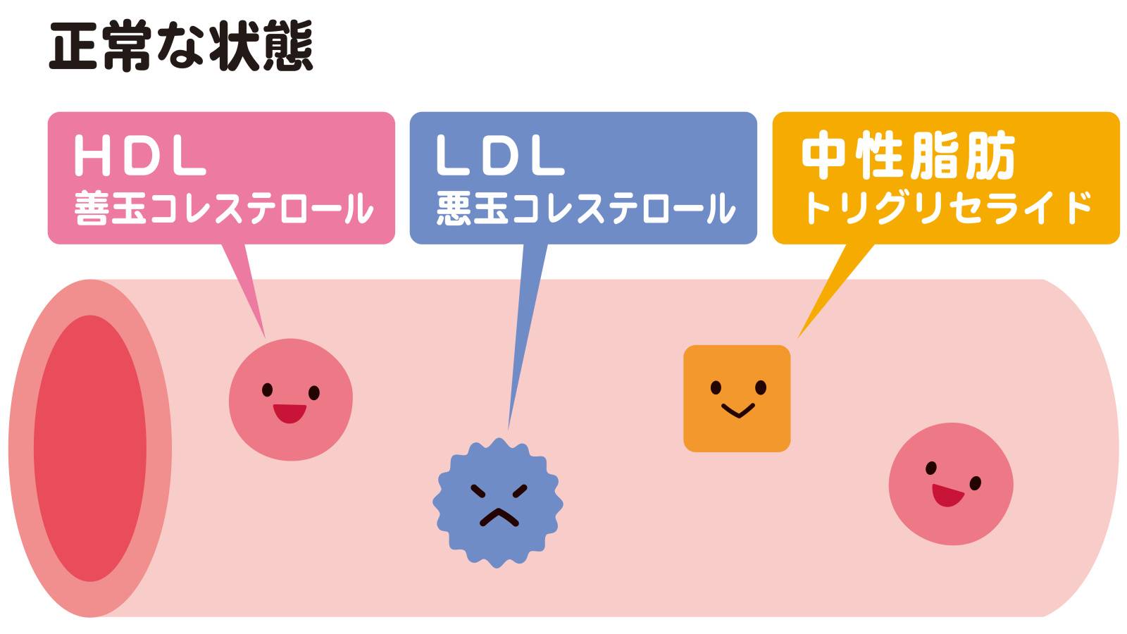 痩せ型なのにコレステロールが上がる？ 更年期女性の体で起きていることと整え方｜管理栄養士がすすめる無理のない食べ方