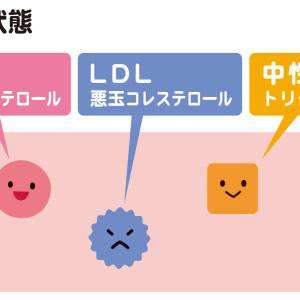 痩せ型なのにコレステロールが上がる? 更年期女性の体で起きていることと整え方|管理栄養士がすすめる無理のない食べ方