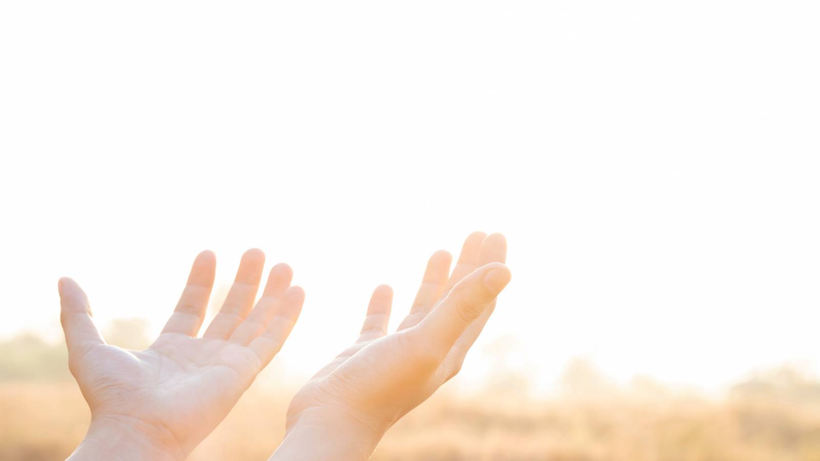  自分の決めつけから解放する「自力ではなく、他力によって生きる」方法 