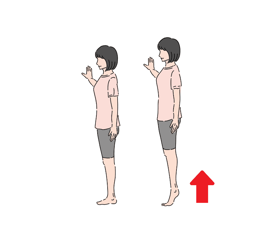 カーフレイズ