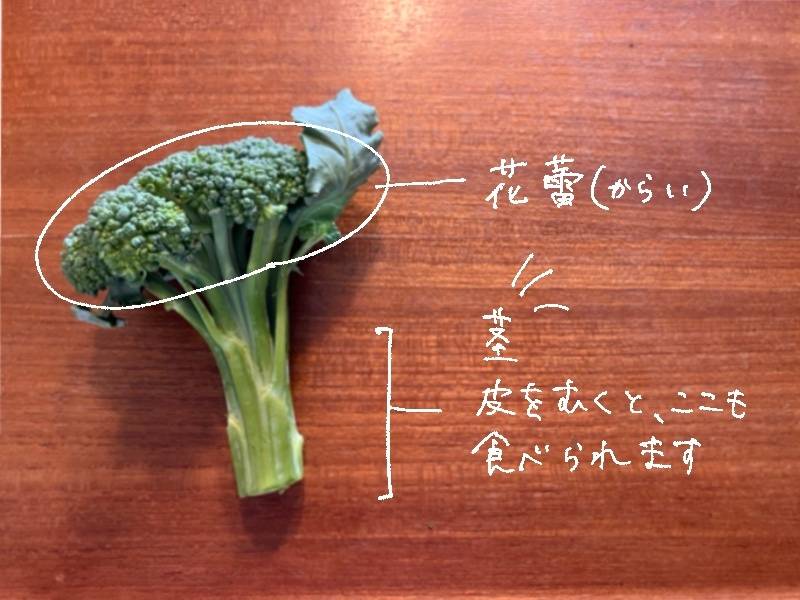 栄養あるのに捨てがち…ブロッコリーの茎をおいしく食べる方法