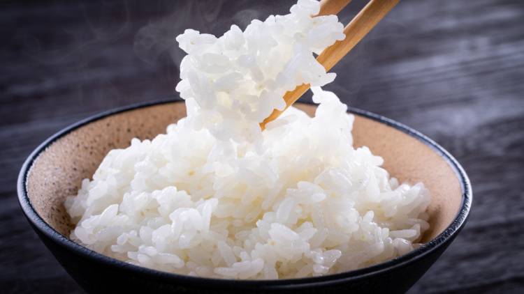 朝の「ごはん」にのせるだけ。肌老化対策に取り入れたい食べ物4選｜管理栄養士が解説