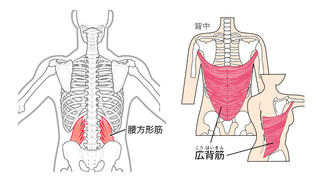 脇腹