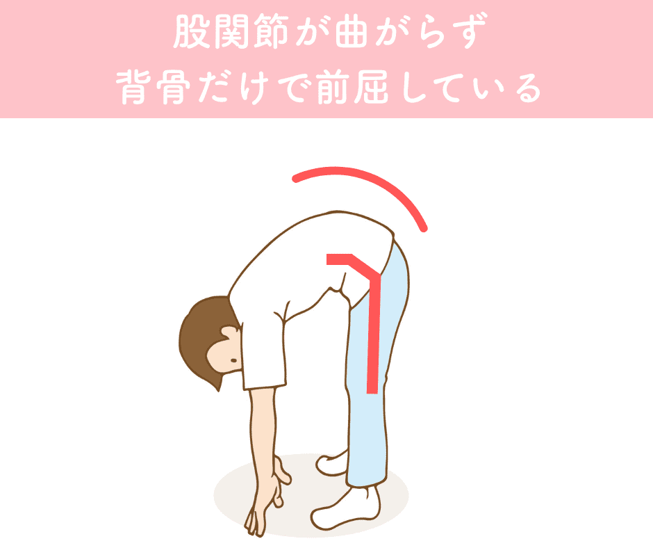 前屈の動き