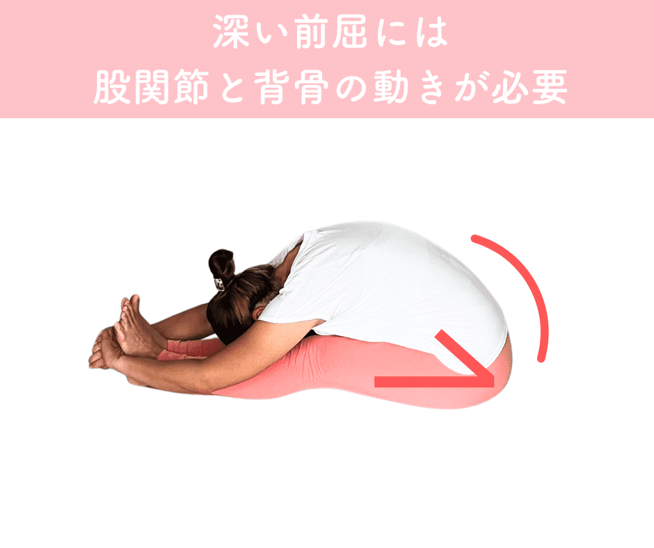 深い前屈の動き