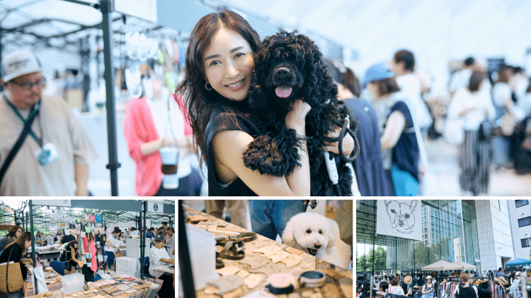 「かわいそう」から「楽しい」へ。唯一無二、保護犬の「オシャレな譲渡会」が教えてくれる、私たちが今できること