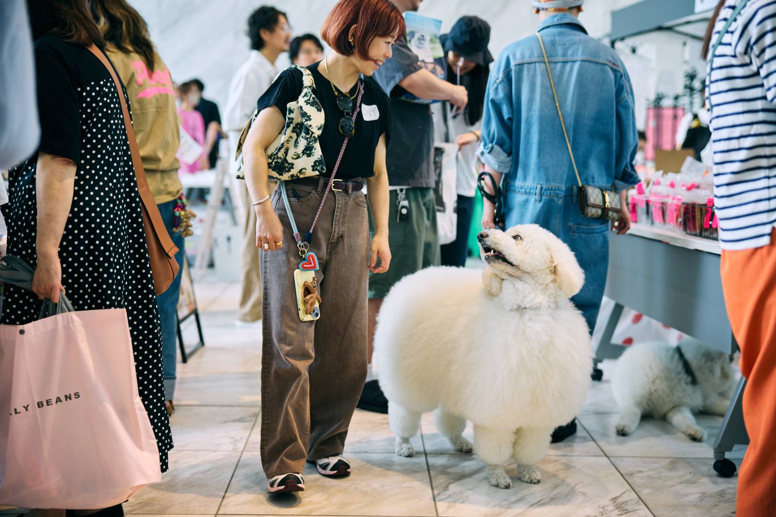 オシャレな譲渡会