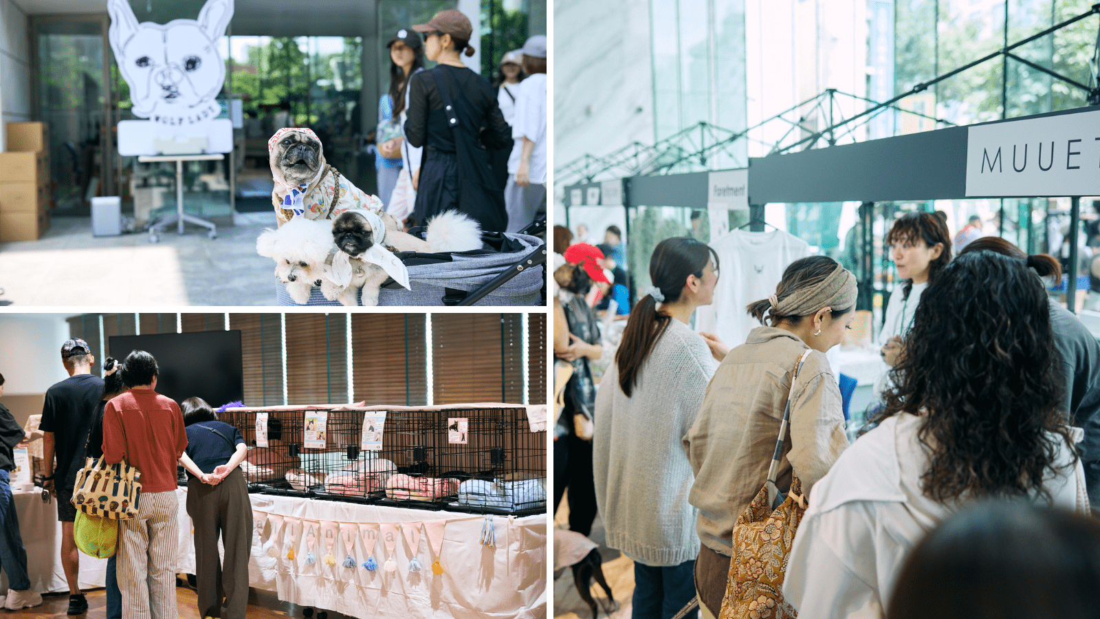 オシャレな譲渡会