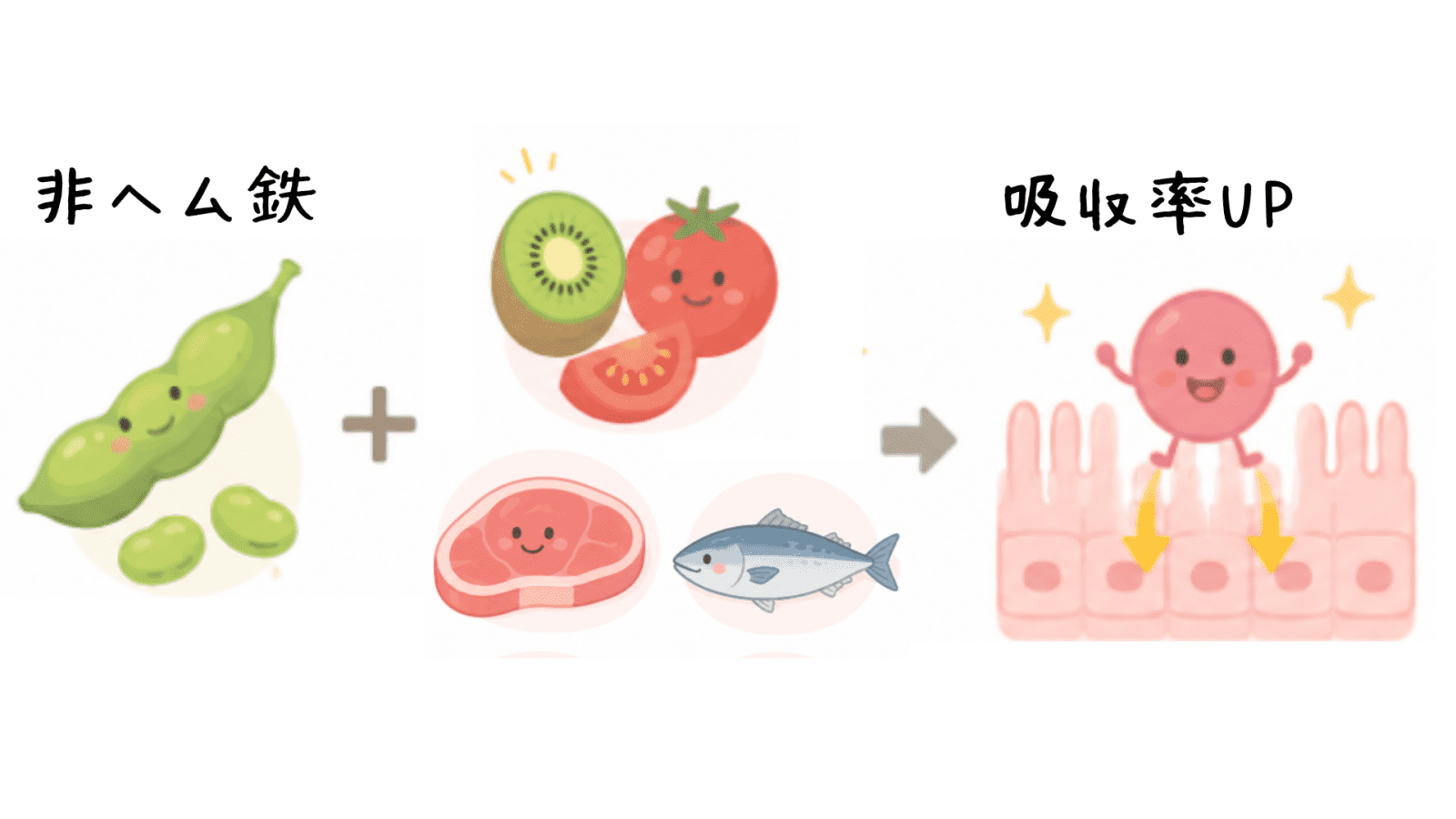 鉄の吸収UPのイラスト