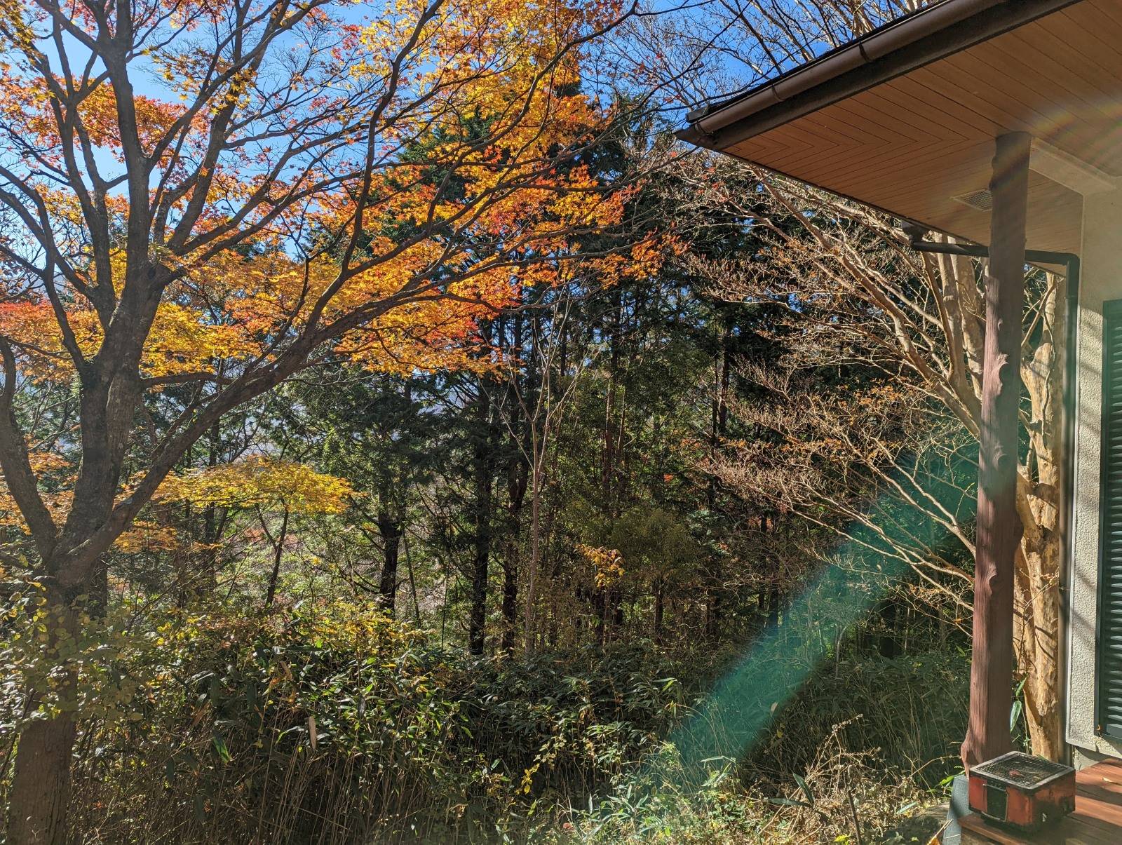 写真提供: 狩野 真実