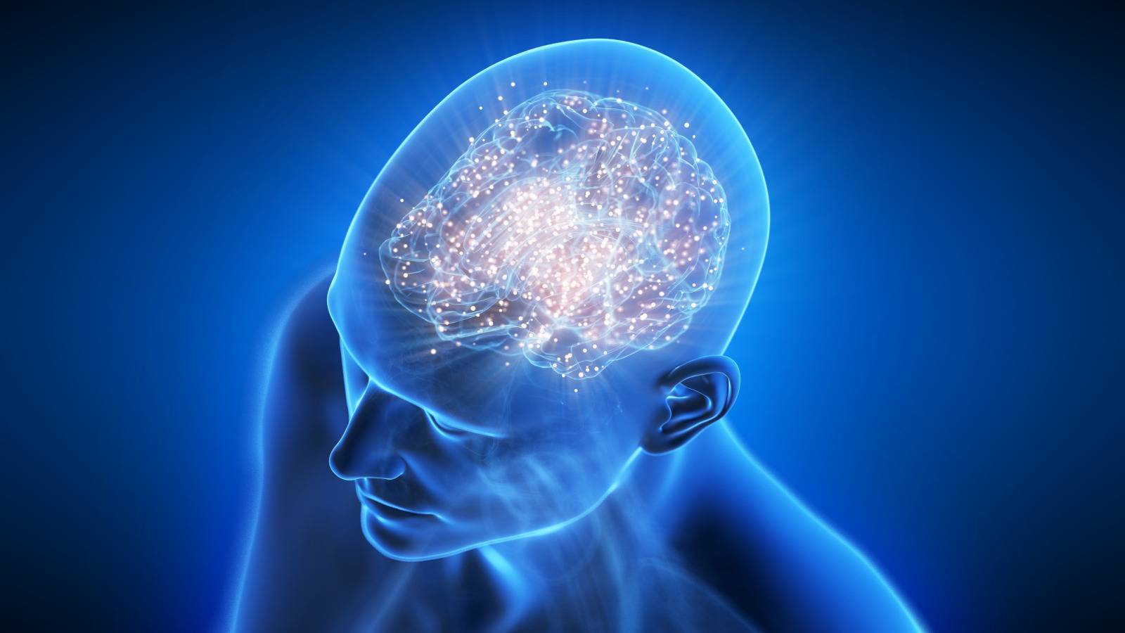 ビタミンCが脳を若々しく保つ！ビタミンCの血中濃度が高い人ほど「記憶を支える脳ネットワーク」が活発に【最新研究】