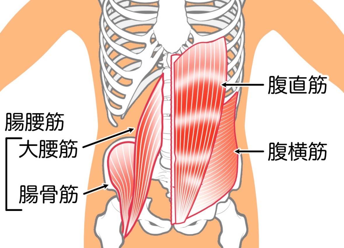 腸腰筋