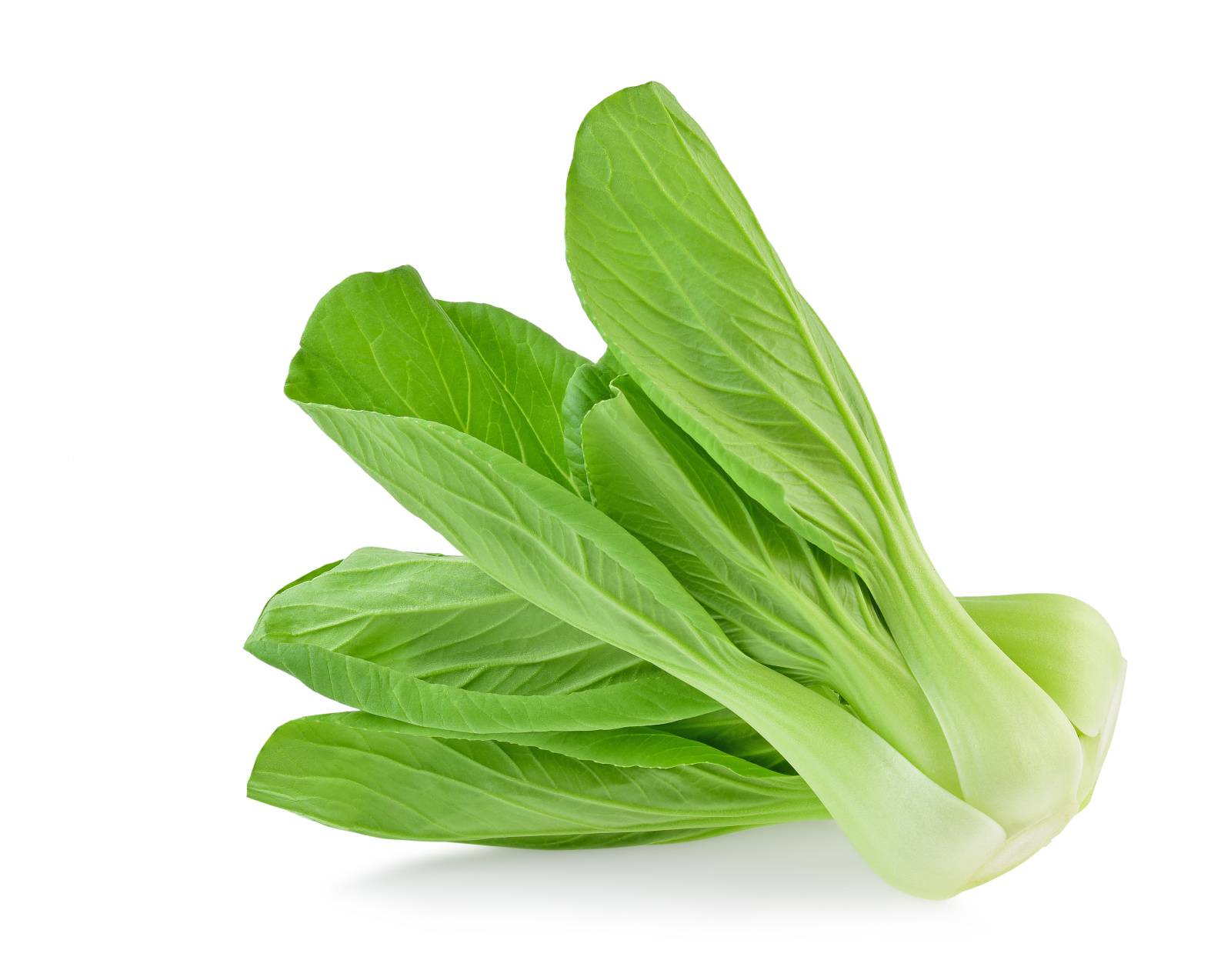 チンゲン菜