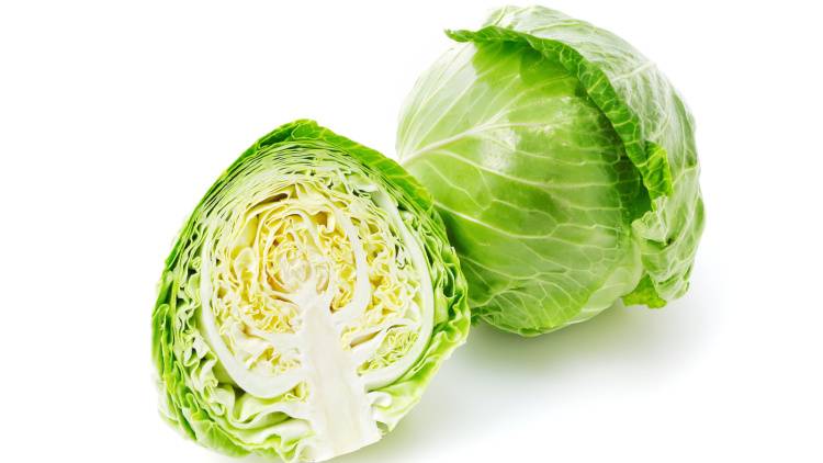 「キャベツ」より栄養価が高い夏野菜4選|管理栄養士が解説