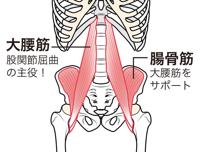大腰筋