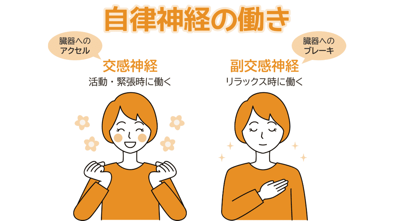 自律神経
