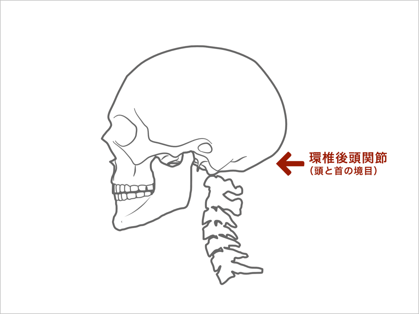 環椎後頭関節