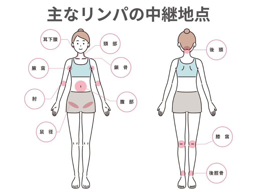 リンパ