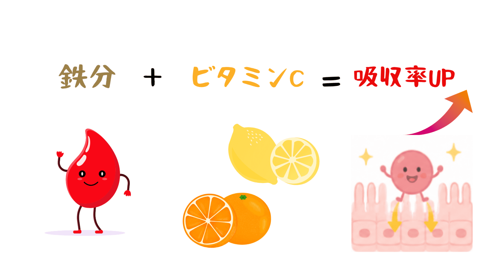 鉄の吸収率UPのイラスト