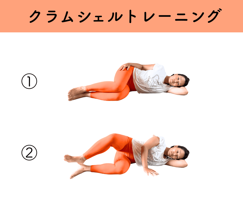 クラムシェルトレーニング