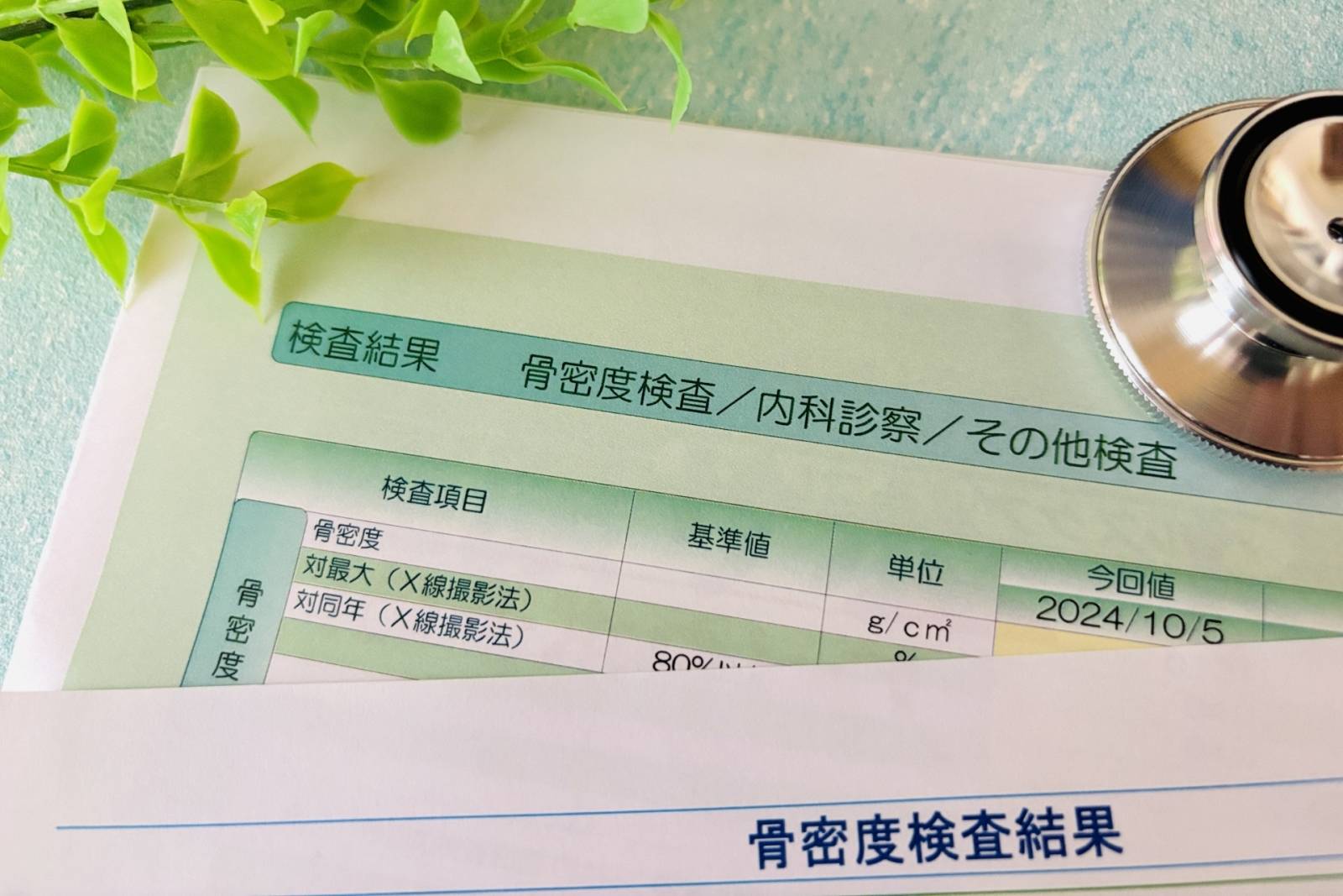 骨密度検査結果