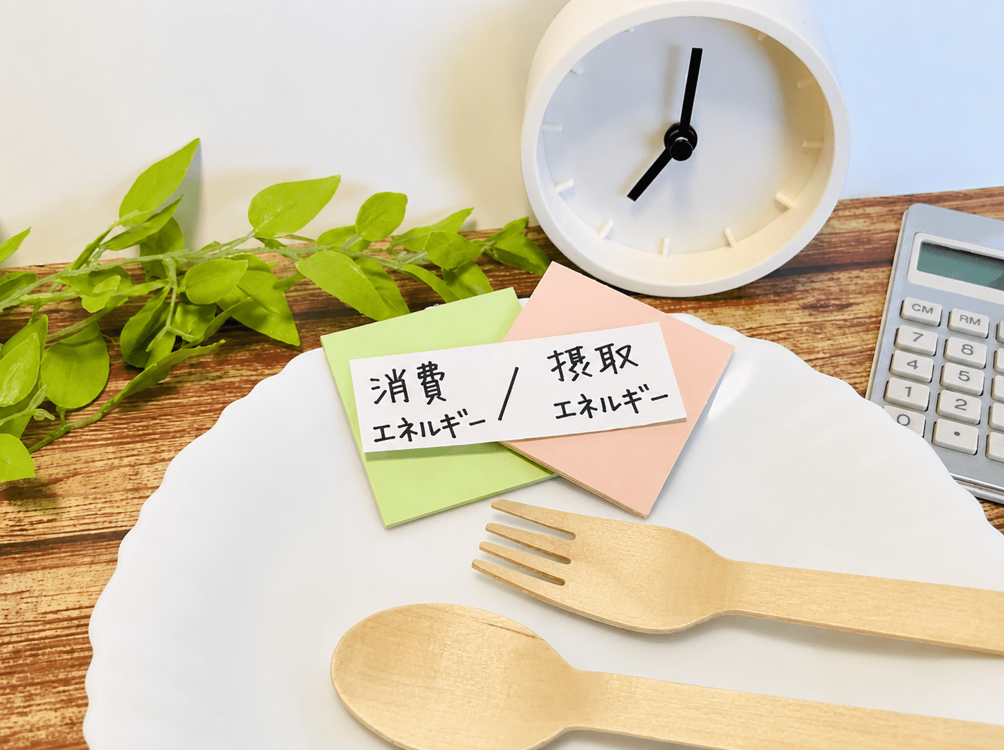 摂取・消費エネルギー