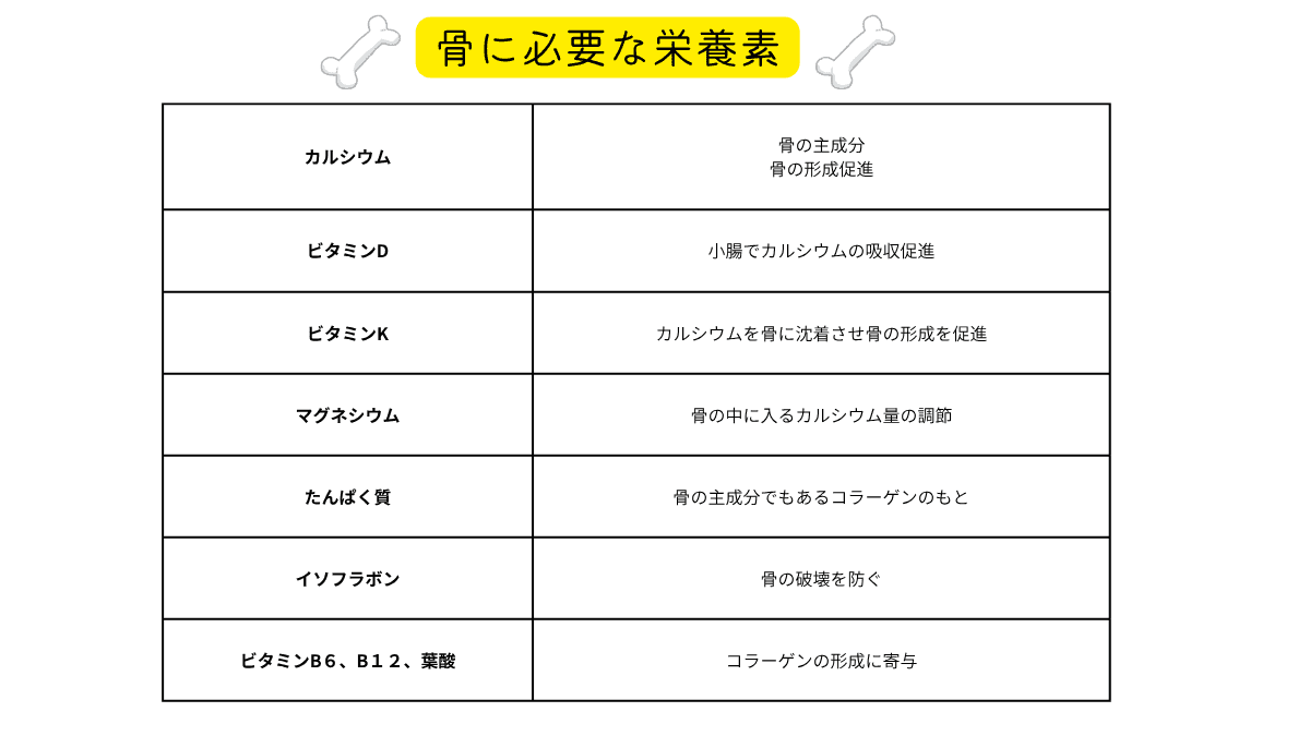 骨に必要な栄養
