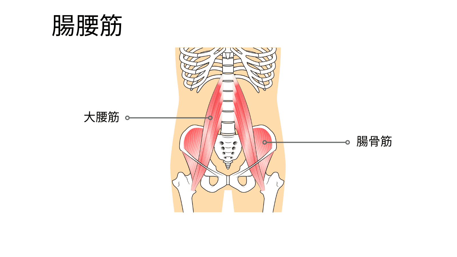 お腹痩せ