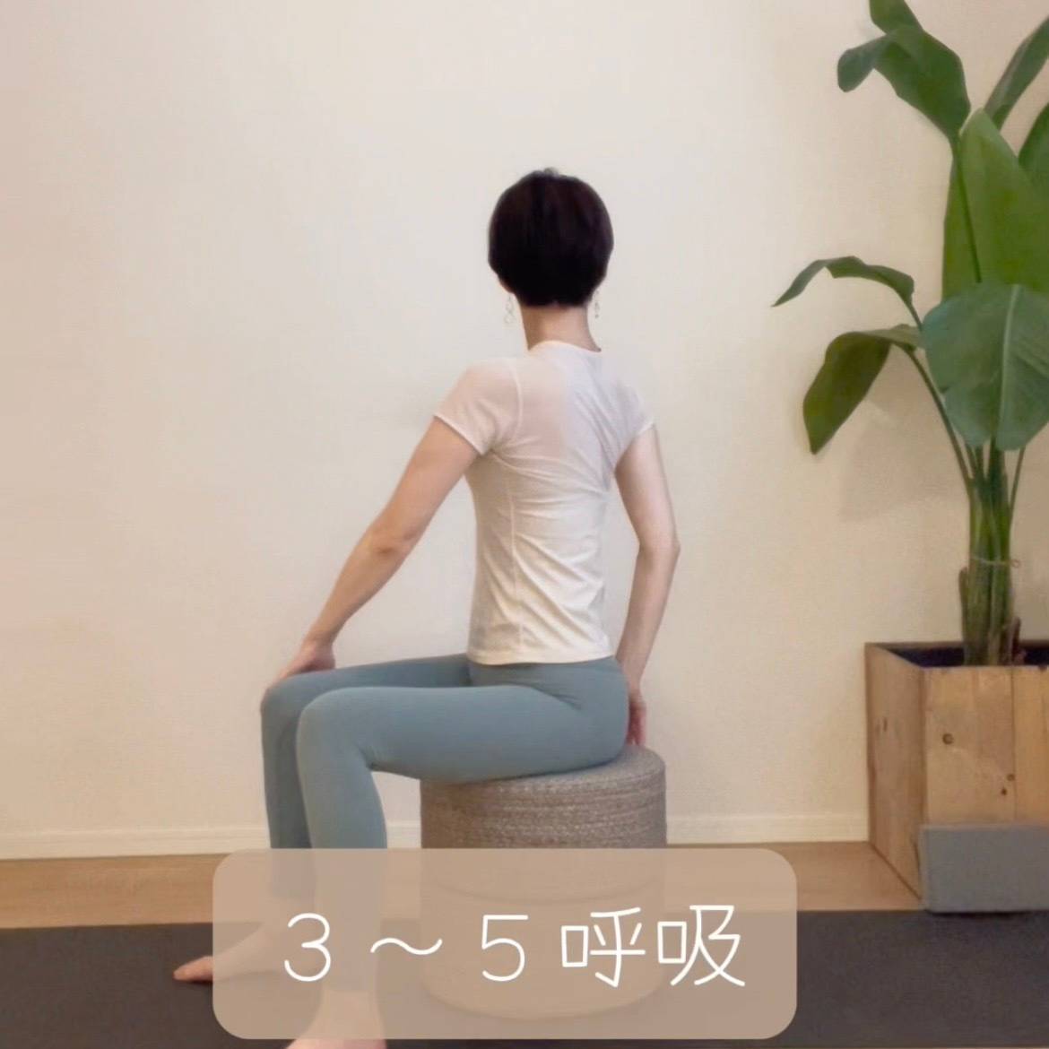 腸活ヨガ