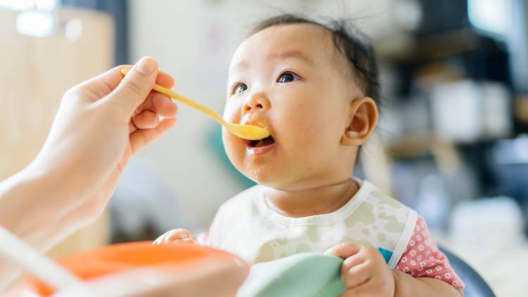 妊娠中から2歳までの「砂糖の摂取量」が60年後の脳の健康を左右する? 最新研究が示した「人生最初の1000日」の重要性